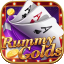 rummy tiger 51 free download