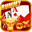 rummy passion game